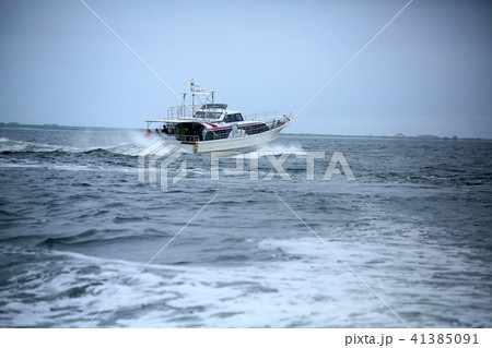 北海道　野付半島　トドワラ 41385091