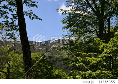 鳩待峠から尾瀬ヶ原への道 41385355