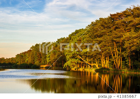 Landscape with trees and water in Prerow, Germany Landscape with trees and water in Prerow, Germany 41385667