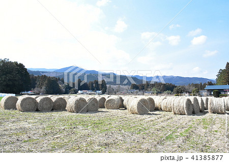 干草ロール 41385877