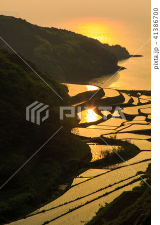 浜野浦の棚田の夕陽と水張風景　【佐賀県】 41386700