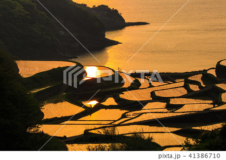 浜野浦の棚田の夕陽と水張風景　【佐賀県】 41386710