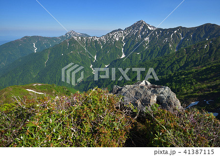 丹後山山頂付近から見た残雪の八海山と中ノ岳 丹後山山頂付近から見た残雪の八海山と中ノ岳 41387115