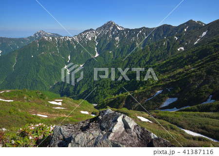 丹後山山頂付近から見た残雪の八海山と中ノ岳 丹後山山頂付近から見た残雪の八海山と中ノ岳 41387116