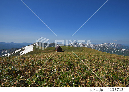 静かな山小屋と残雪の山々　丹後山避難小屋 41387124