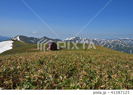 静かな山小屋と残雪の山々　丹後山避難小屋 41387125