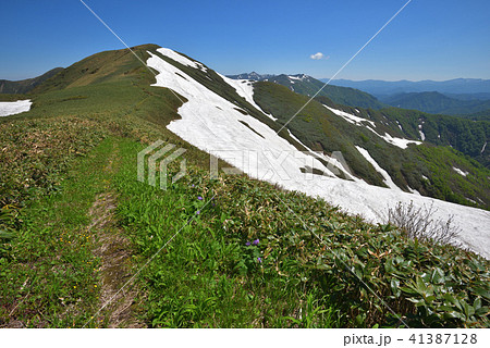 丹後山付近から見た残雪の大水上山 41387128