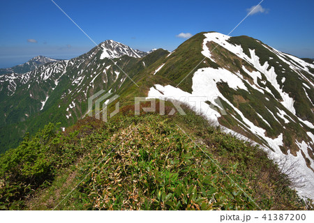 大水上山から見る残雪の兎岳と越後三山 41387200