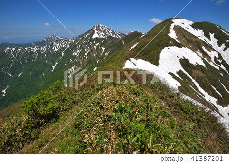 大水上山から見る残雪の兎岳と越後三山 41387201