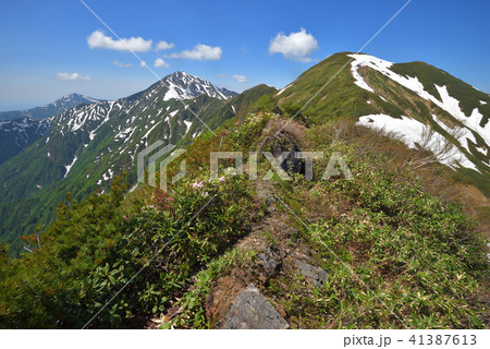 大水上山から見る残雪の兎岳と越後三山 41387613