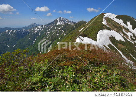 大水上山から見る残雪の兎岳と越後三山 41387615
