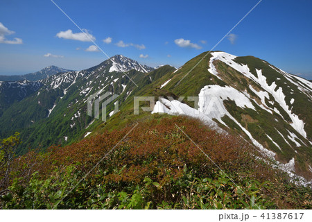 大水上山から見る残雪の兎岳と越後三山 41387617