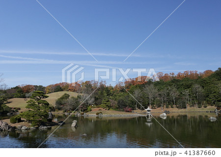 万博記念公園 41387660