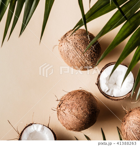 Coconuts on a pastel background. 41388263