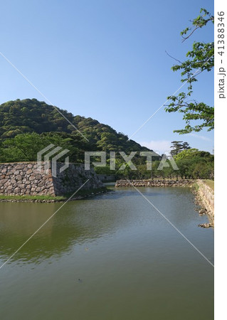 萩城跡指月公園 萩城跡指月公園 41388346