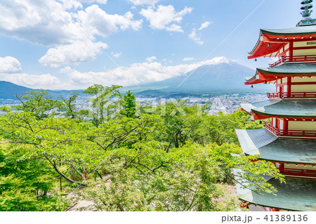 【山梨県】新倉山浅間公園 41389136