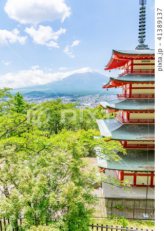 【山梨県】新倉山浅間公園 【山梨県】新倉山浅間公園 41389137