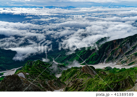 白馬岳山頂から見る大雪渓と朝の雲海 41389589