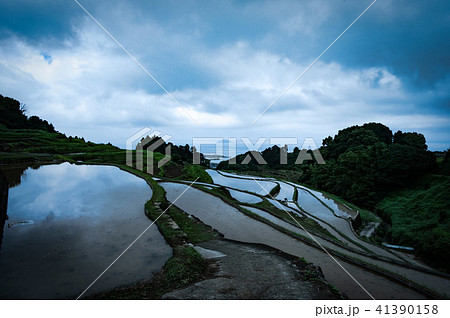 棚田 写り込み 棚田 写り込み 41390158