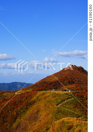 弥彦山頂上の紅葉 41390160