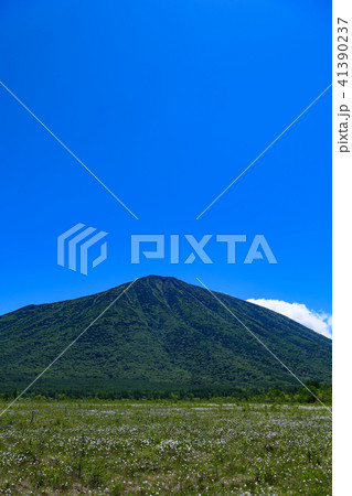 男体山と戦場ヶ原のワタスゲ 男体山と戦場ヶ原のワタスゲ 41390237