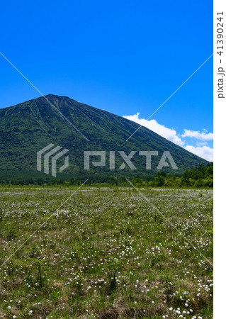 男体山と戦場ヶ原のワタスゲ 41390241