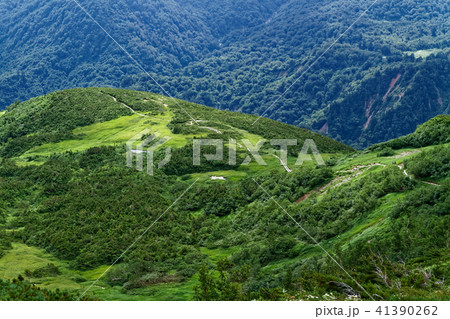 北アルプス・朝日岳稜線から見る五輪高原 41390262