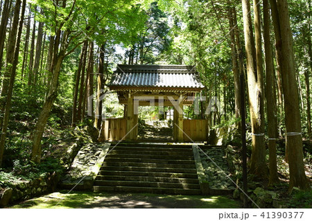安楽律院 安楽律院 41390377