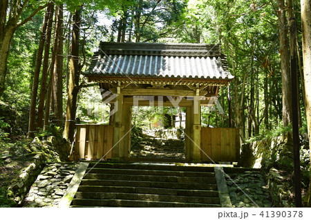 安楽律院 安楽律院 41390378