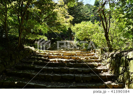 安楽律院 安楽律院 41390384