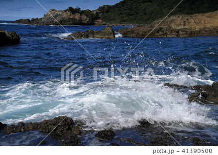 島根半島の海岸 41390500