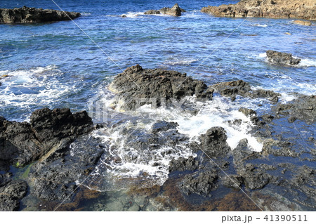 島根半島の海岸 島根半島の海岸 41390511