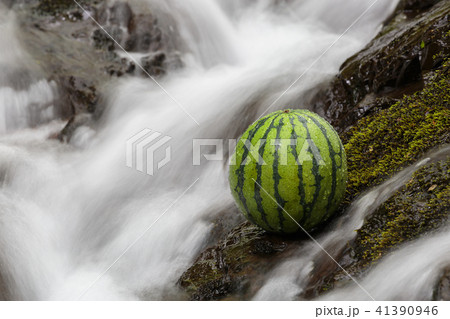 甘くて美味しいスイカ（西瓜・すいか）の写真素材 41390946