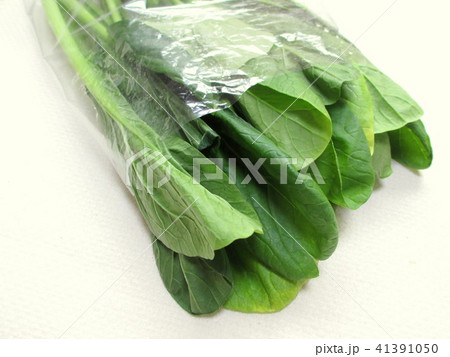 葉が黄色くなった小松菜 葉が黄色くなった小松菜 41391050