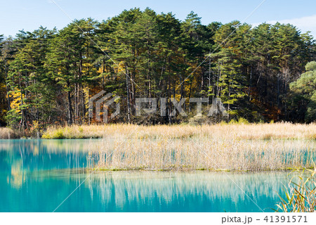 Goshiki-numa Urabandai Fukushima Autumn Japan Goshiki-numa Urabandai Fukushima Autumn Japan 41391571