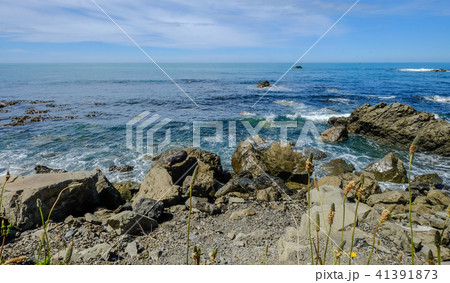 Seascape of South Island, New Zealand Seascape of South Island, New Zealand 41391873