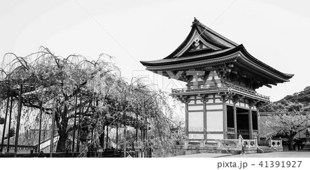 Ancient temple with cherry flowers Ancient temple with cherry flowers 41391927