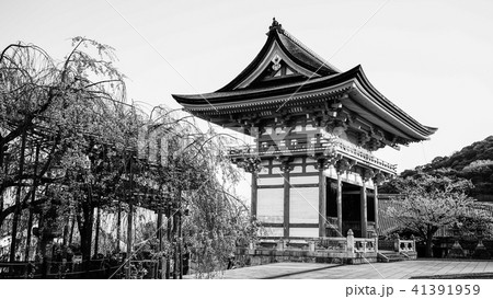 Ancient temple with cherry flowers Ancient temple with cherry flowers 41391959