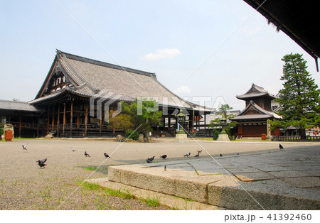 長浜市・大通寺の本堂 長浜市・大通寺の本堂 41392460