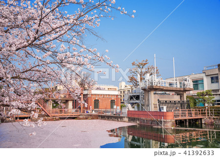 琵琶湖疏水 春の夷川ダムの写真素材