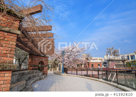 琵琶湖疏水　春の夷川ダム 41392810