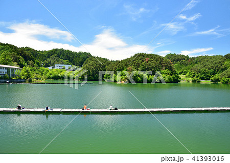 美鈴湖 41393016
