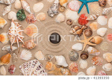 stone lies in the center of the circle,shell,star. stone lies in the center of the circle,shell,star. 41393350