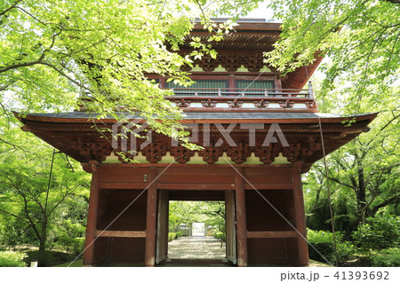 長勝寺 楼門(山門) 茨城県指定有形文化財 長勝寺 楼門(山門) 茨城県指定有形文化財 41393692
