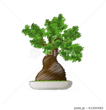 isolated banzai tree isolated banzai tree 41394483