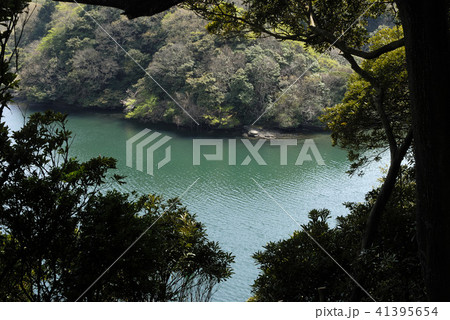 穏やかな海 41395654