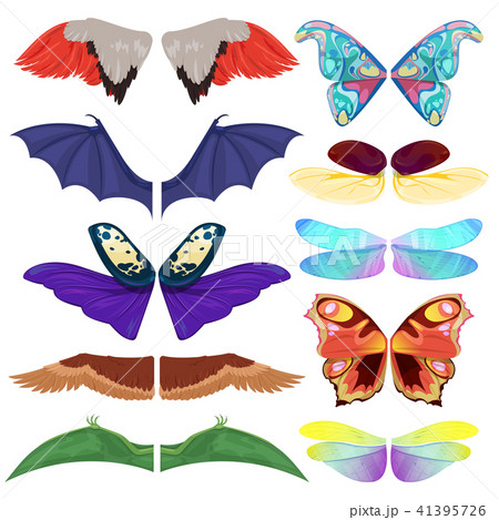 butterfly wing vector