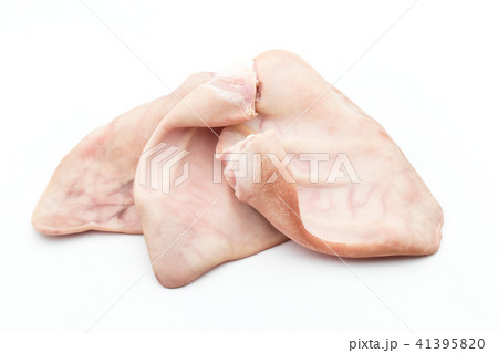 ブタの耳: Pig ear ブタの耳: Pig ear 41395820