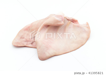 ブタの耳: Pig ear ブタの耳: Pig ear 41395821
