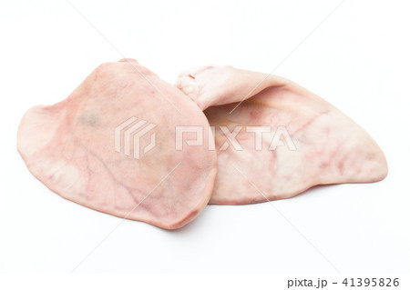 ブタの耳: Pig ear ブタの耳: Pig ear 41395826